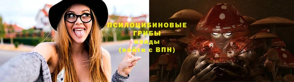 гидропоника Алзамай