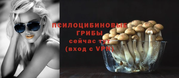 героин Абаза