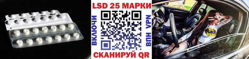 ЛСД экстази кислота  купить наркотики сайты  Приозерск 