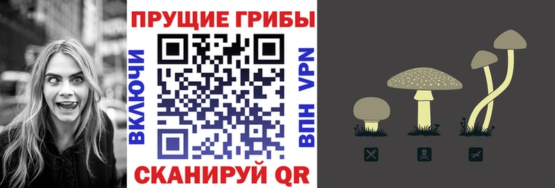 Псилоцибиновые грибы MAGIC MUSHROOMS  дарк нет Telegram  Приозерск 
